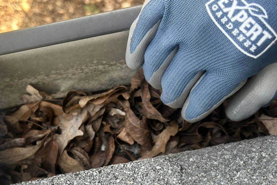 Gutter Cleaning Buena Vista