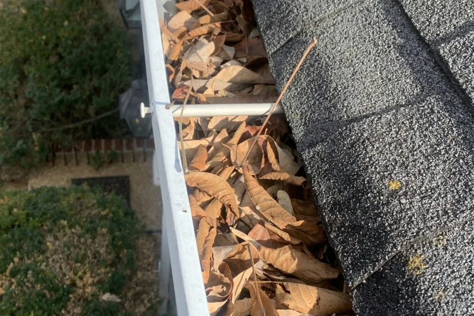 Gutter Cleaning Buena Vista