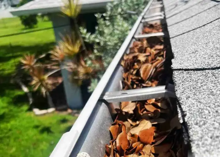 Gutter Cleaning Buena Vista home page